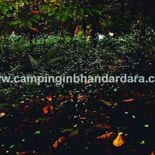 Hotel Samadhan Бандардара Екстериор снимка
